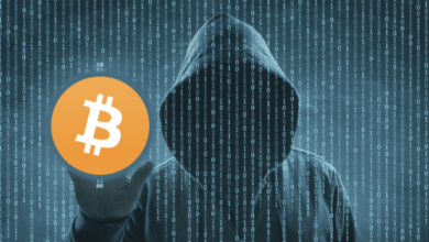 Expert Insights on Cryptocurrency Scams